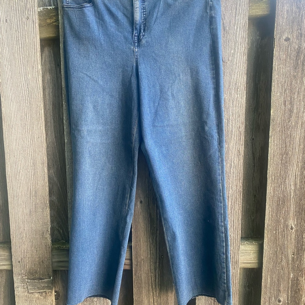 Sanctuary Blue Ankle Cropped Jeans with Raw Hem